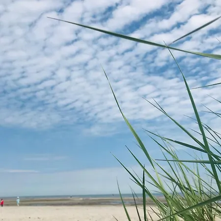 Modernes Fuer Familien Und Surfer * Fehmarn