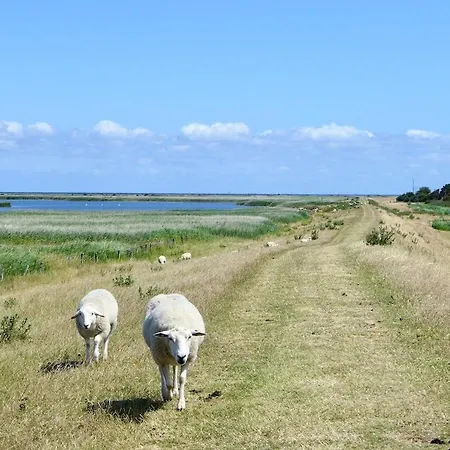 Apartament Modernes Fuer Familien Und Surfer Fehmarn